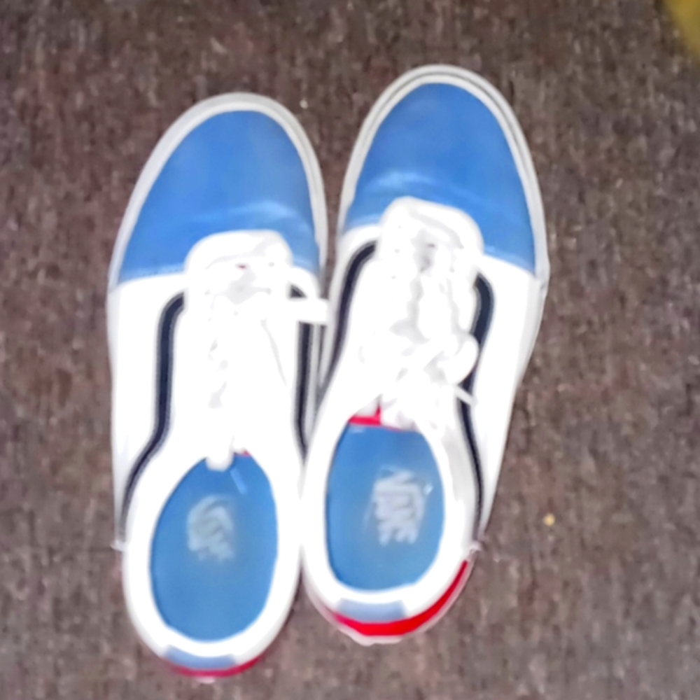 Vans old skool